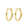 Nova Hoop Earring - gold plated