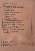 Ashley & Co - Peppy & Lucent Wash Locks Balanced Shampoo -10ml sample sachet
