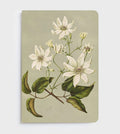 Father Rabbit Soft Cover - Clematis Indivisa