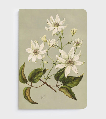 Father Rabbit Soft Cover - Clematis Indivisa