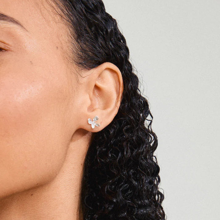 Aglaia earrings silver -plated