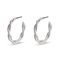 Naja Pi Hoops - Silver Plated small