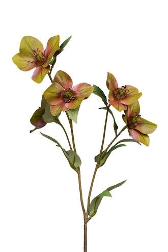 Hellebore Spray Green 47cm