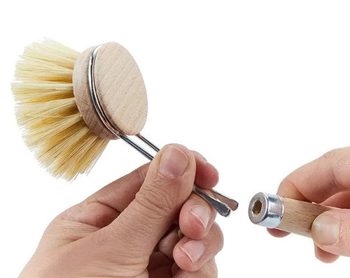 Dish brush Tampico (longer handle) 50mm