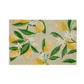 Limone Coir Mat
