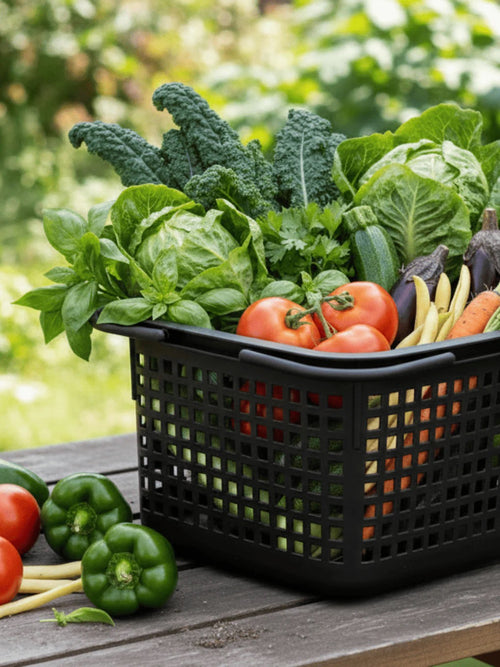 Cestino Basket and Lid - White