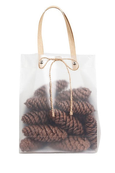 Dragon Spruce (Long) Pinecones
