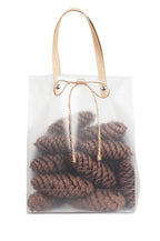 Dragon Spruce (Long) Pinecones