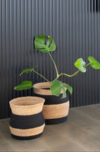 Bangla Basket - Natural w/ Black -2 sizes