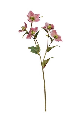 Hellebore Spray Mauve 47cm