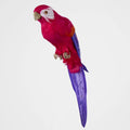 Arnou Fuchsia Parrot