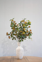 Leucospermum Spray 101cm
