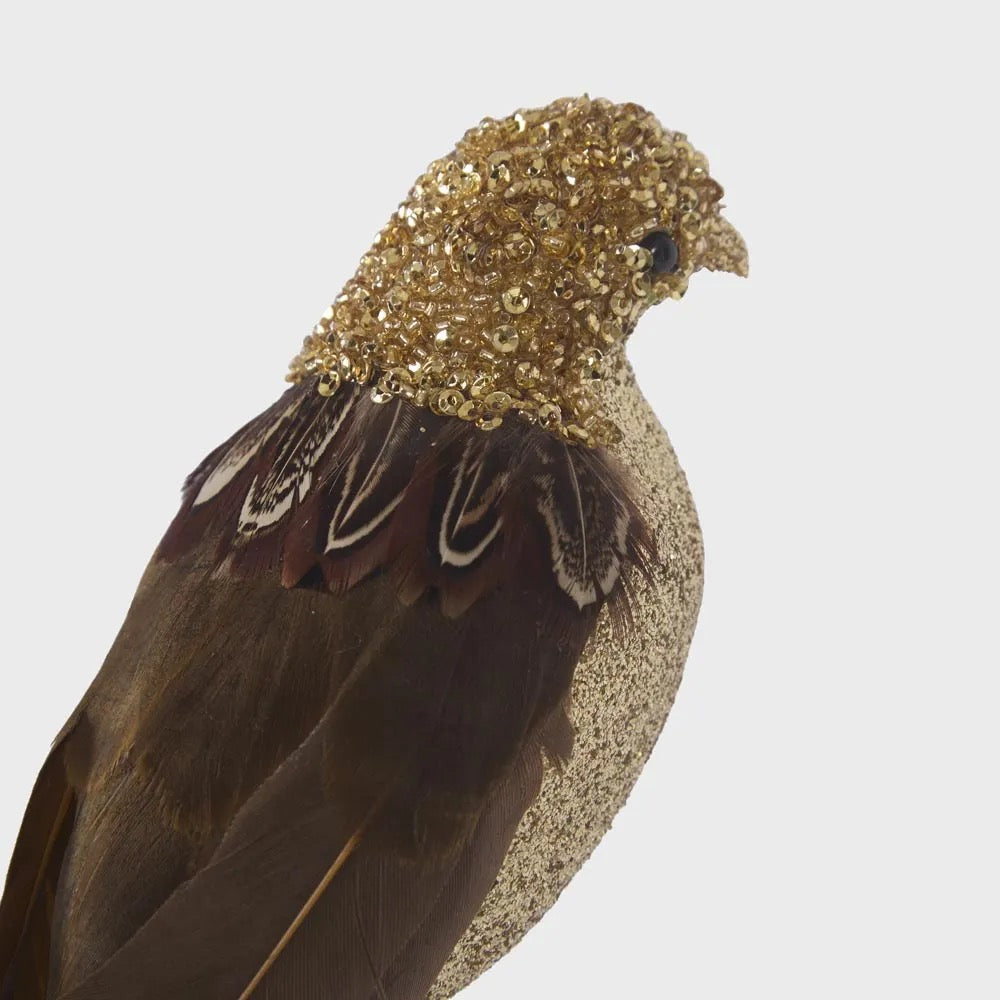 Savonne Glitter Clip on Bird