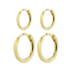 Ariella Earrings - Gold Plated 2 in 1 set
