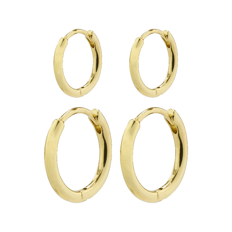 Ariella Earrings - Gold Plated 2 in 1 set