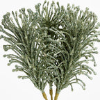 Glitter Fern Bunch