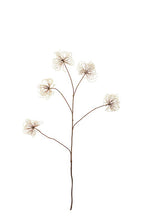 Wild Clematis Spray Cream 115cm