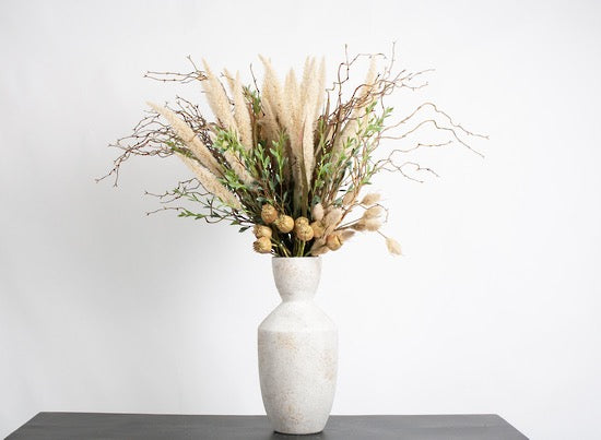 Fountain Grass - Cream