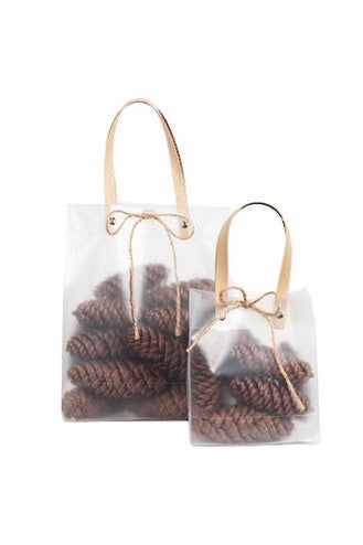 Dragon Spruce (Long) Pinecones