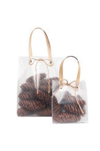 Dragon Spruce (Long) Pinecones