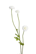 Pompom Sp x4 White 59cm