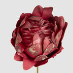 Glitter Edged Protea Flower Stem Red