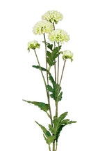 PomPom Mum Spray 68cm Green