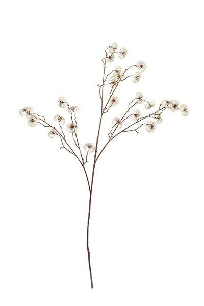 Clematis Seed Pod Spray Cream 94cm