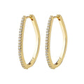 Root Hoop Earrings - gold plated