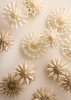 Bungalow Paper Star Decoration