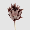 Glitter Protea Stem