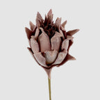 Glitter Protea Stem