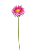 Single Mini Gerbera - Pink