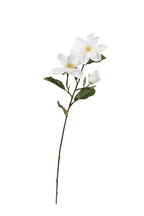 Legacy Magnolia Spray Cream 71cm