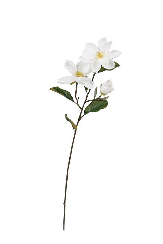 Legacy Magnolia Spray Cream 71cm