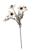 Echinacea Spray White