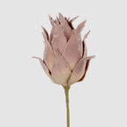 Glitter Protea Stem