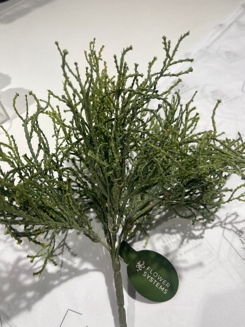 Coral Grass Bush - 28cm