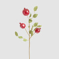 Pomegranate Stem Red