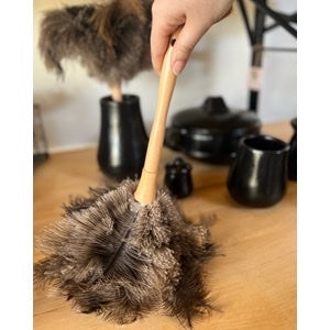 Feather Duster