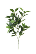 Shikiba Spray small 60cm
