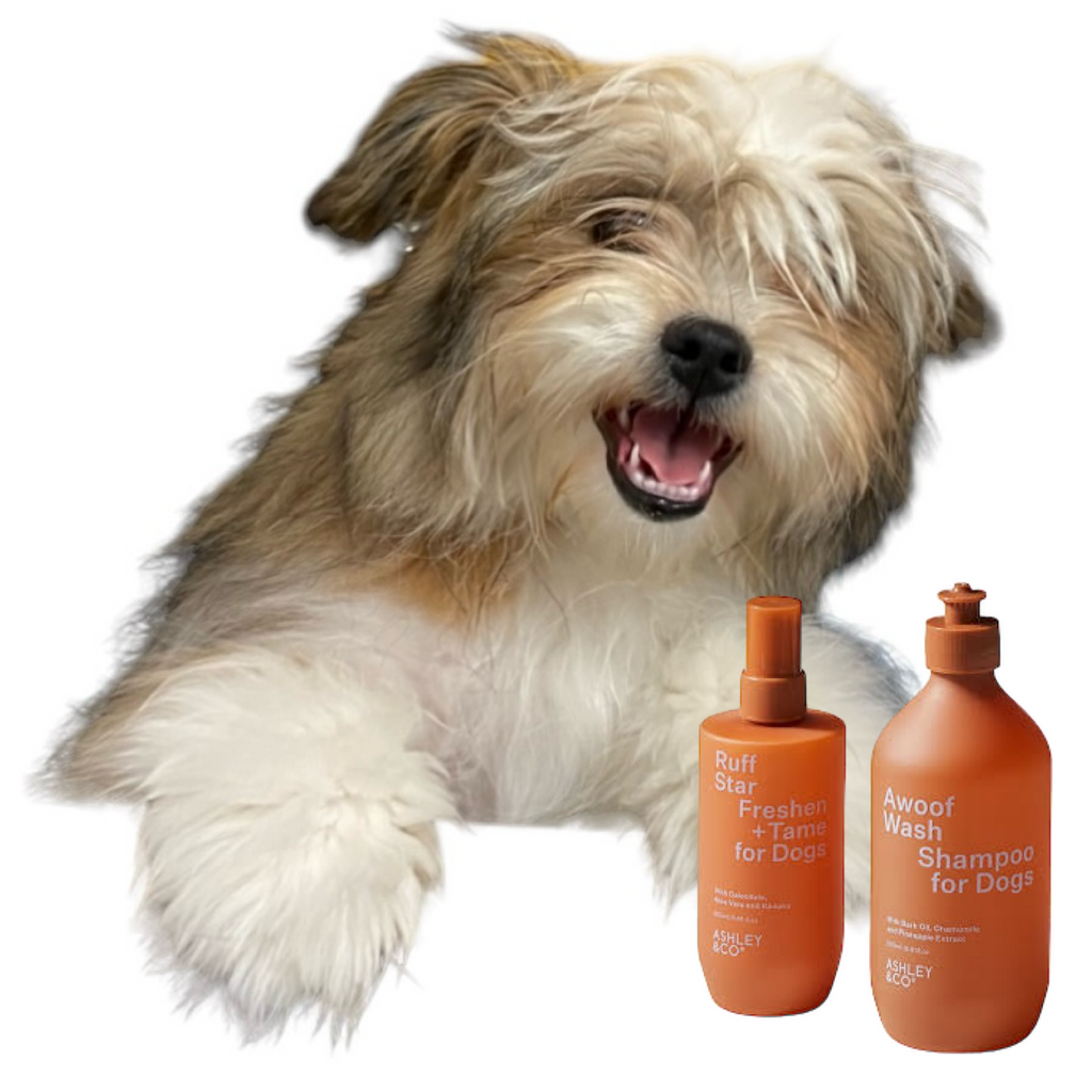 Ashley & Co Ruff Star Spray (Freshen+Tame)