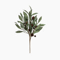 Eucalyptus & Brown Berry Wood Branch