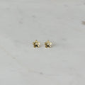 Sophie Store - Super Daisy Day Studs