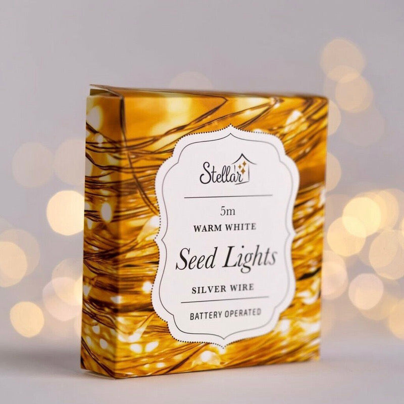 5M SILVER WIRE WARM WHITE SEEDLIGHTS