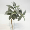 Sage Spray