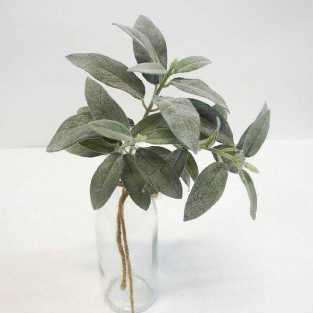 Sage Spray