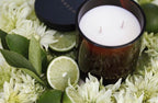 Kingdom LEMONGRASS & LIME - LUXURY SOY CANDLE